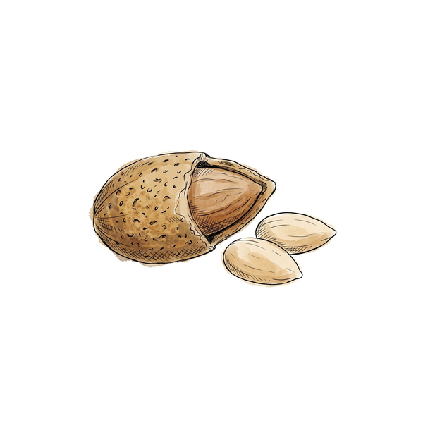 Almond Oil