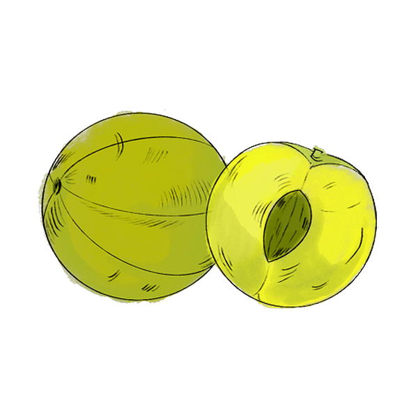 Amla