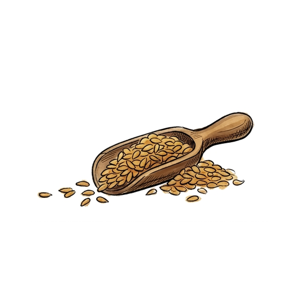 Sesame Seed Oil