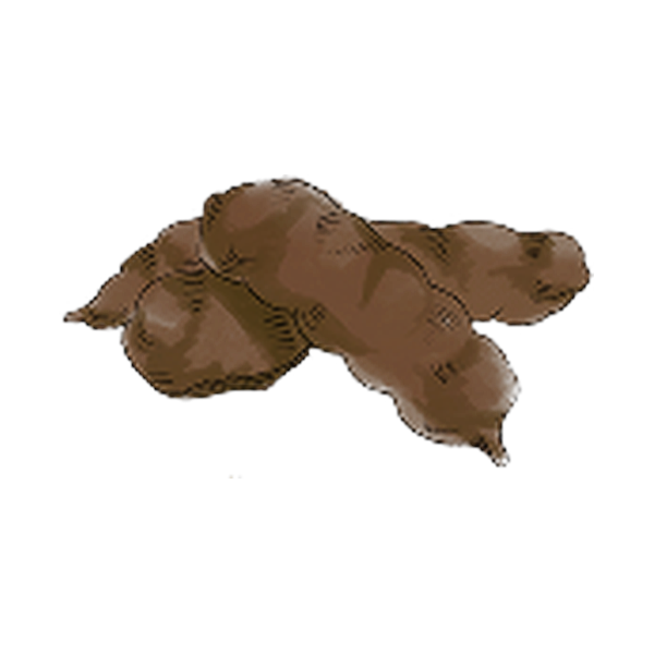 Shikakai